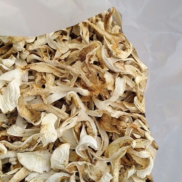 正宗云南香格里拉野生松茸干片(去皮)色白味香