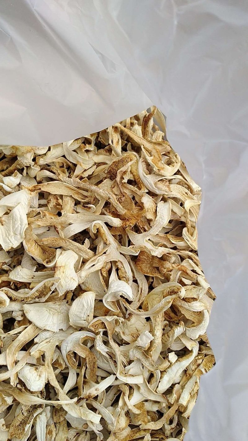 正宗云南香格里拉野生松茸干片(去皮)色白味香