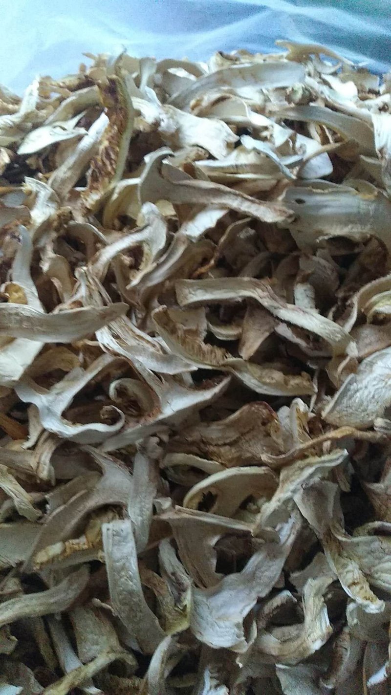 正宗云南香格里拉野生松茸干片(去皮)色白味香