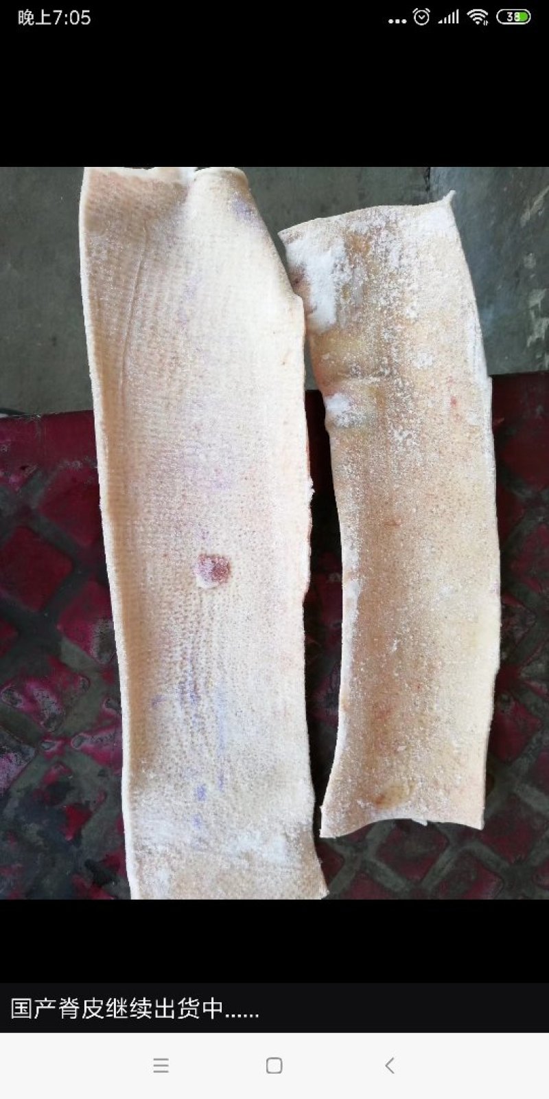 小高冻货