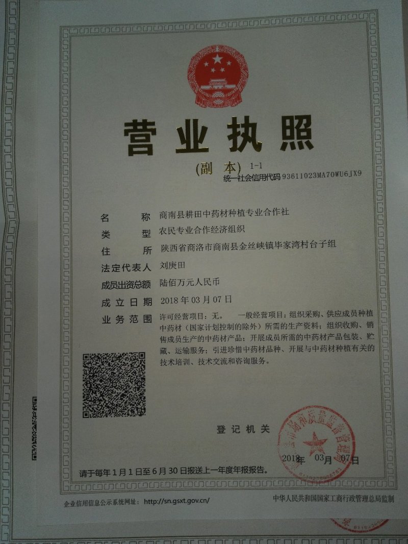 黄姜(火头根)