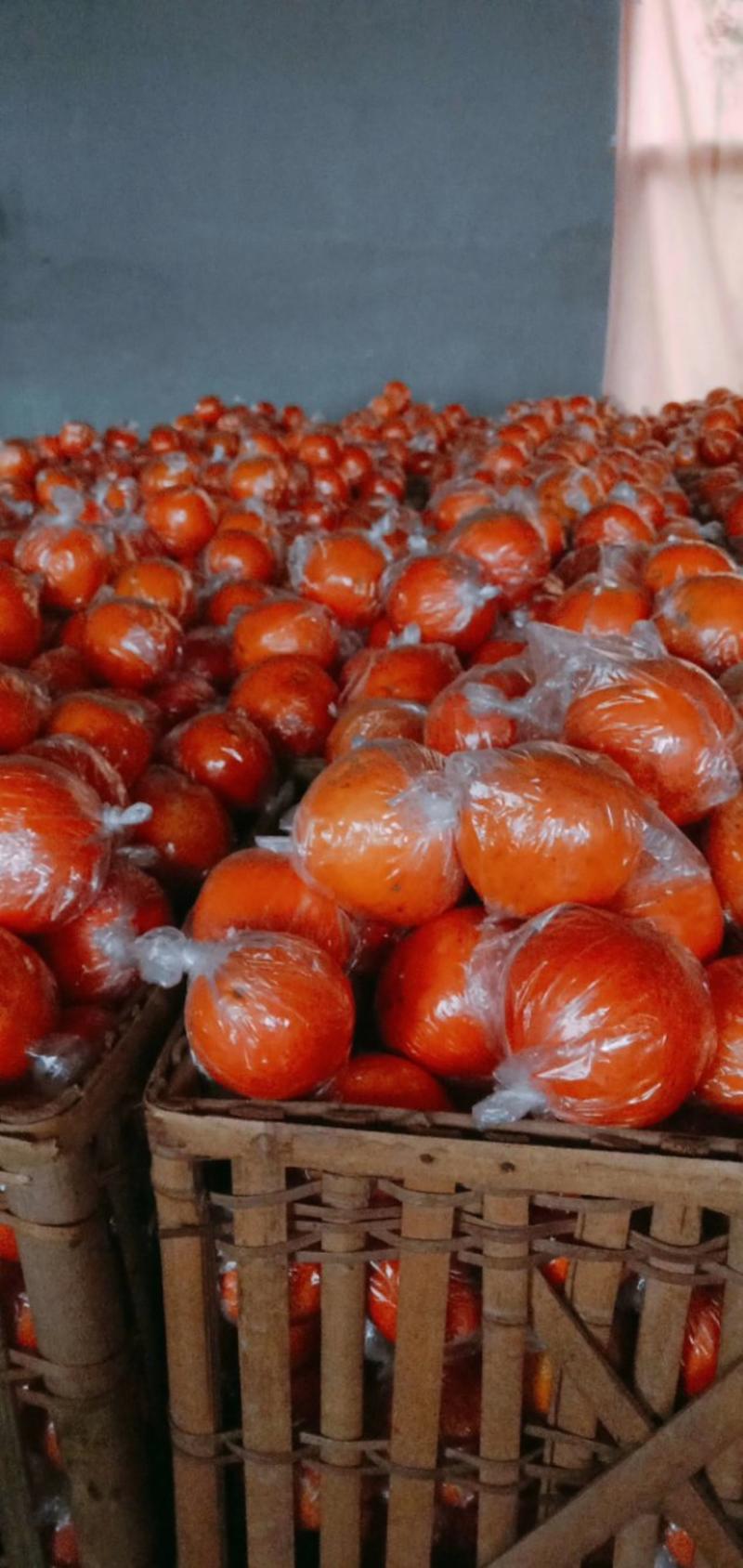 湖南湘西州龙山里耶几十万吨脐橙产地欢迎你