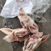 双汇猪头