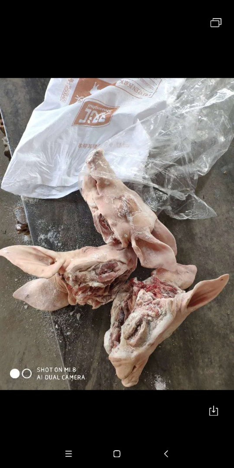 双汇猪头