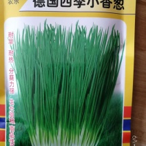 【精选】德国小香葱