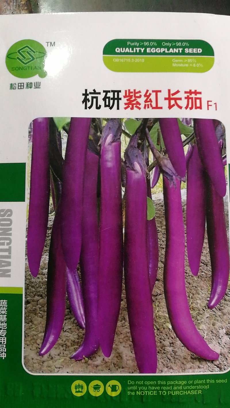 【优质】紫色长茄子紫色长线茄子种子油亮型长茄