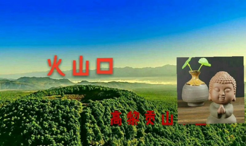 本人小店专营云南大山上的野生古树红茶、古树普洱茶。