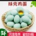 绿壳鸡蛋乌鸡蛋可孵化出壳高百分之九十五绿壳