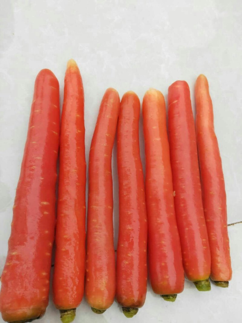 胡萝卜，福建蔬菜胡萝卜精品胡萝卜，大量上市，万亩基地合作