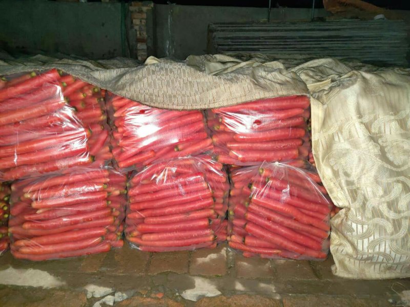 胡萝卜，福建蔬菜胡萝卜精品胡萝卜，大量上市，万亩基地合作