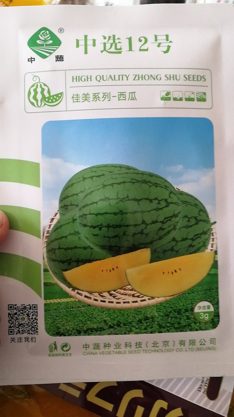 【高端】绿皮黄壤礼品西瓜种子椭圆形甜度高口感好