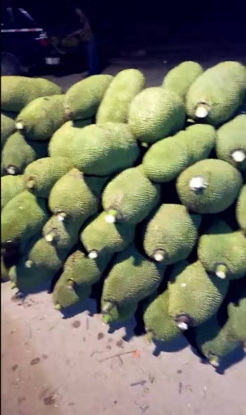 菠萝蜜