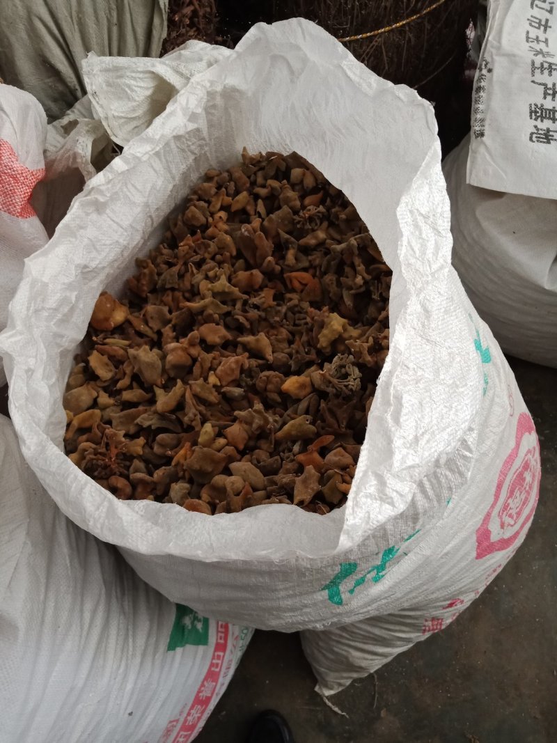 来自湖北深山里的五倍子，基地发货，品种正，量大价低