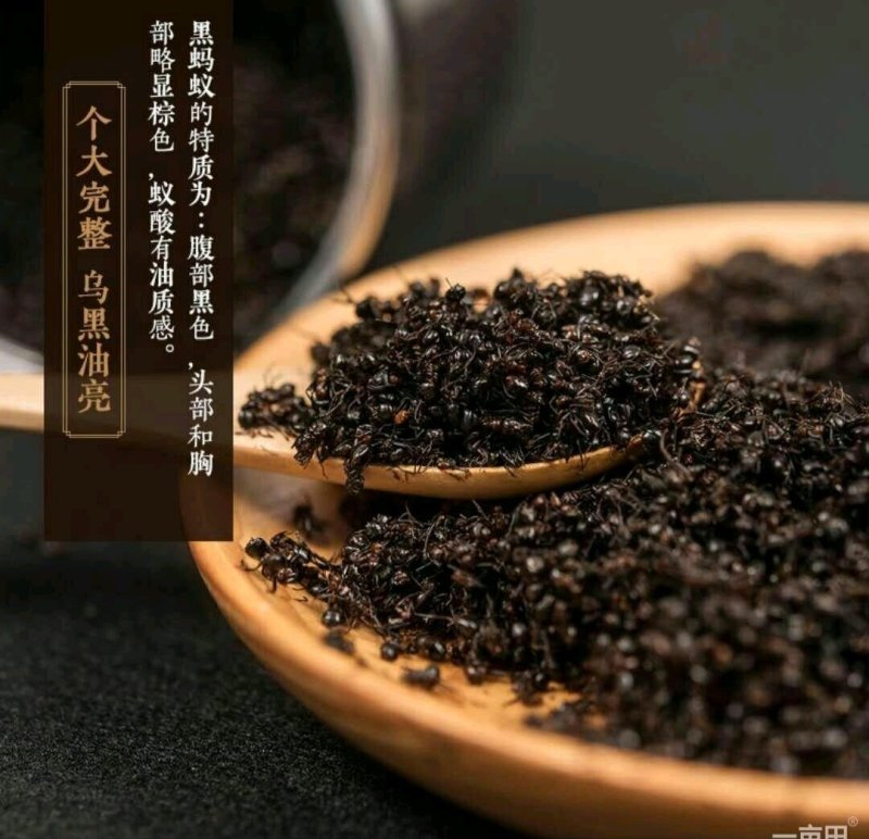 长白山小黑蚂蚁免费提供打粉一斤起卖包邮产地直供