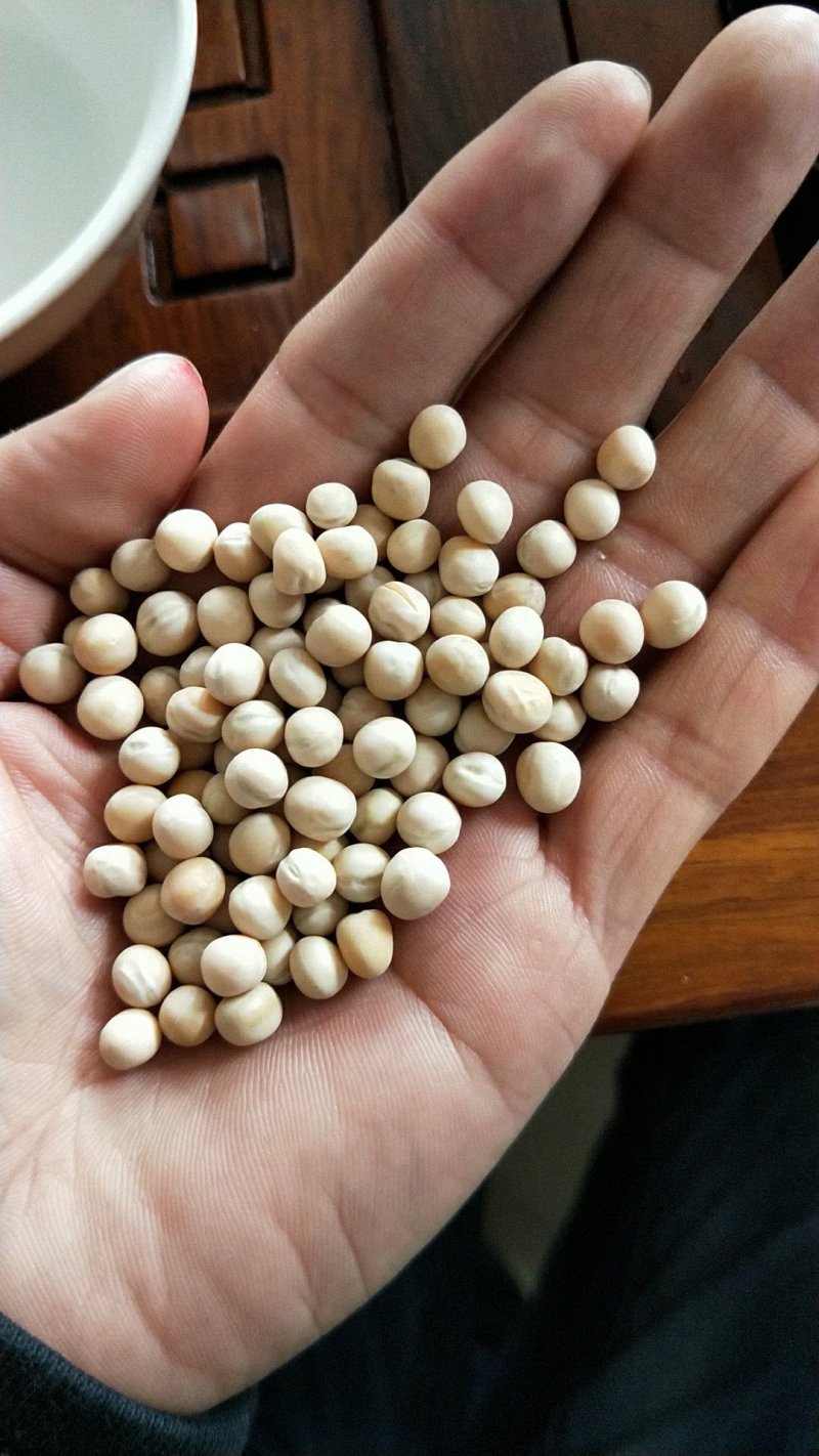 白豌豆。精品进口白豌豆大量批发，白豌豆。