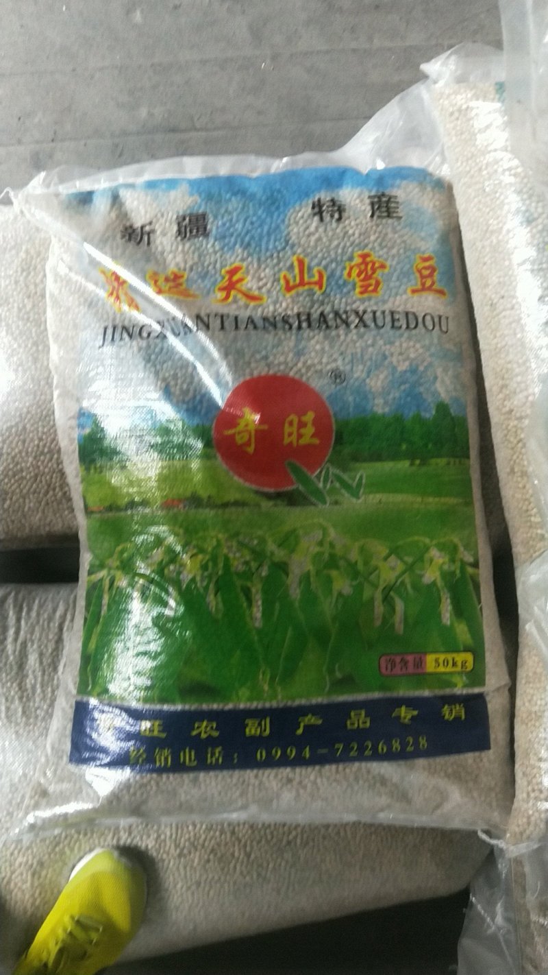 白豌豆，精品新疆白豌豆，白豌豆，发苗专用