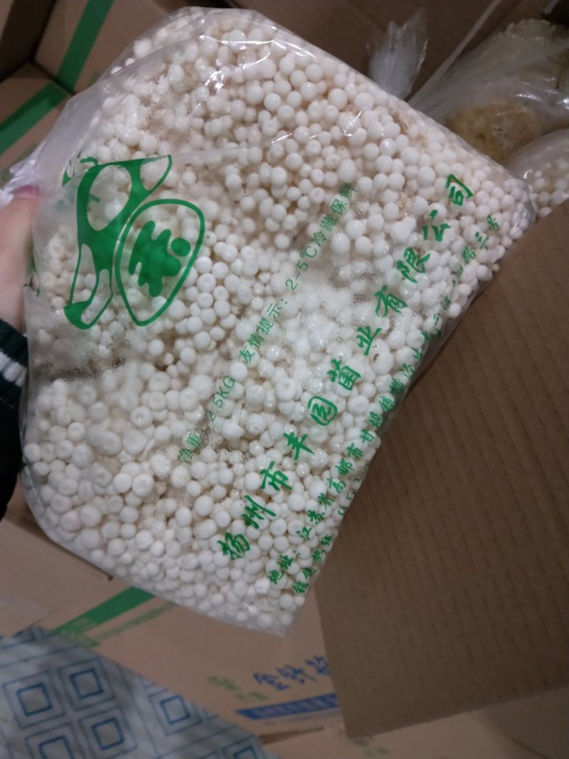 金针菇