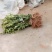 20-80cm