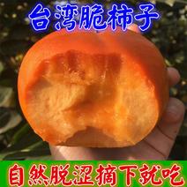 正品嫁接柿子树苗台湾脆柿日本甜柿庭院盆栽地栽