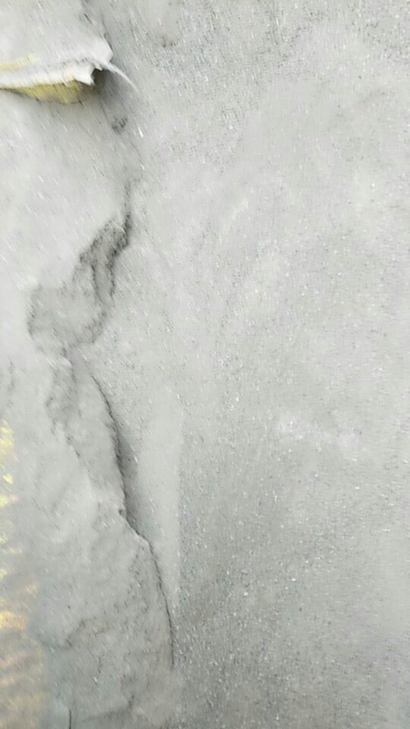 养花木炭灰