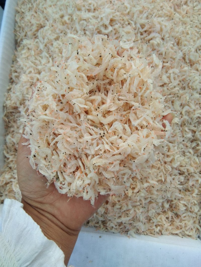 山东渤海产地虾皮