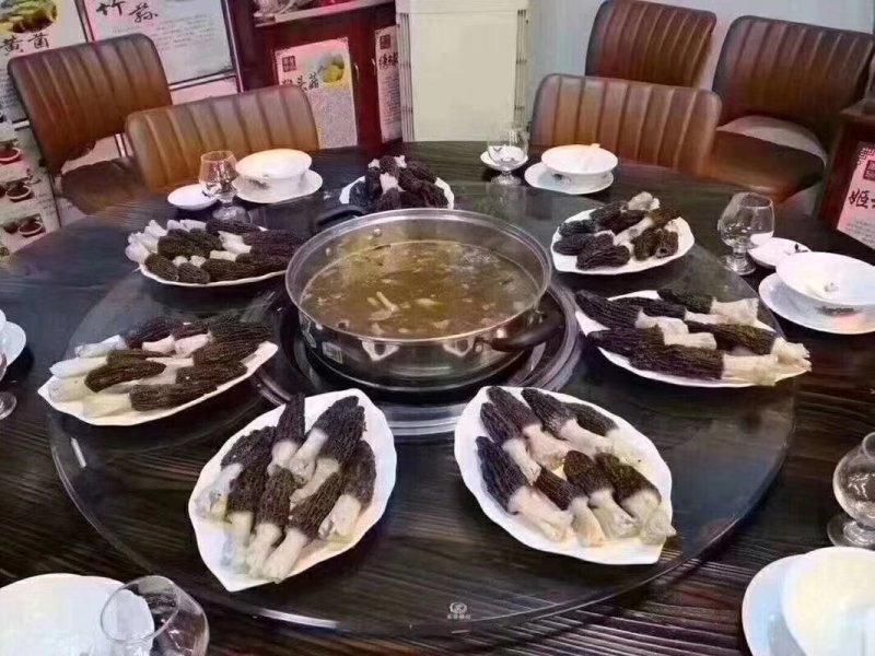 新鲜羊肚菌2斤装