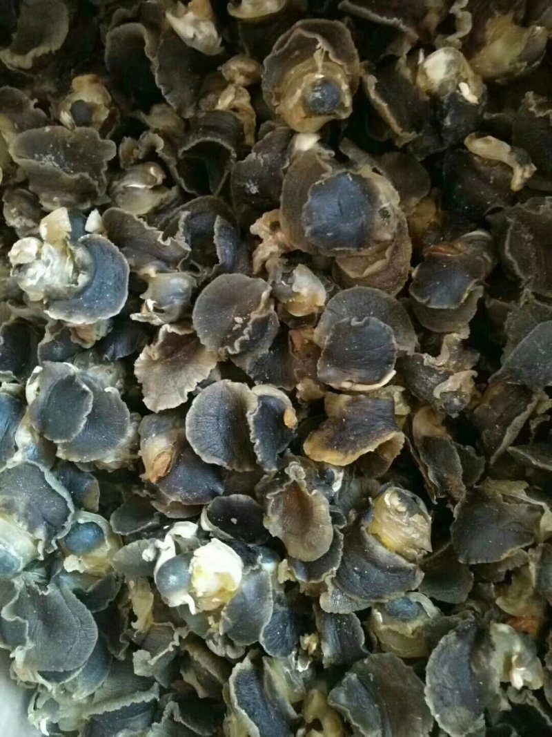 海螺干，香螺干海螺肉
