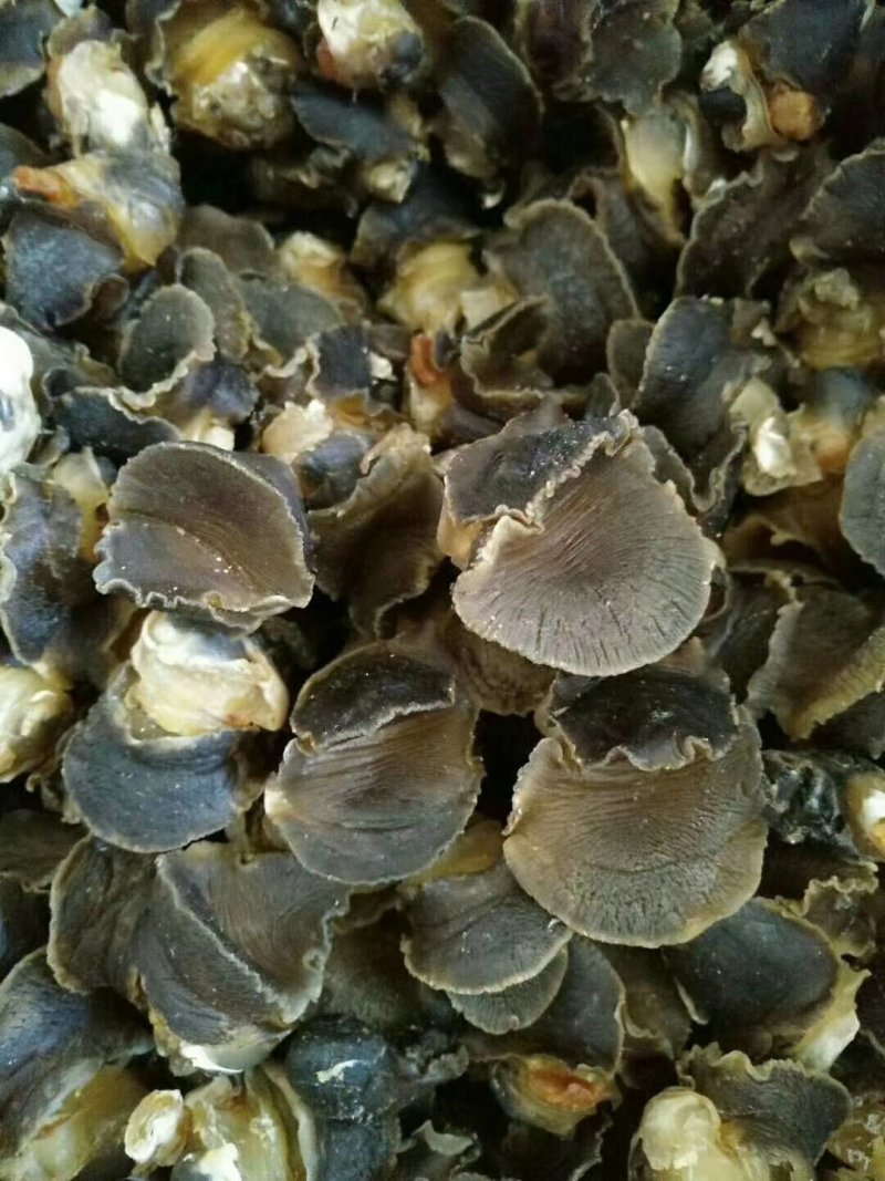 海螺干，香螺干海螺肉