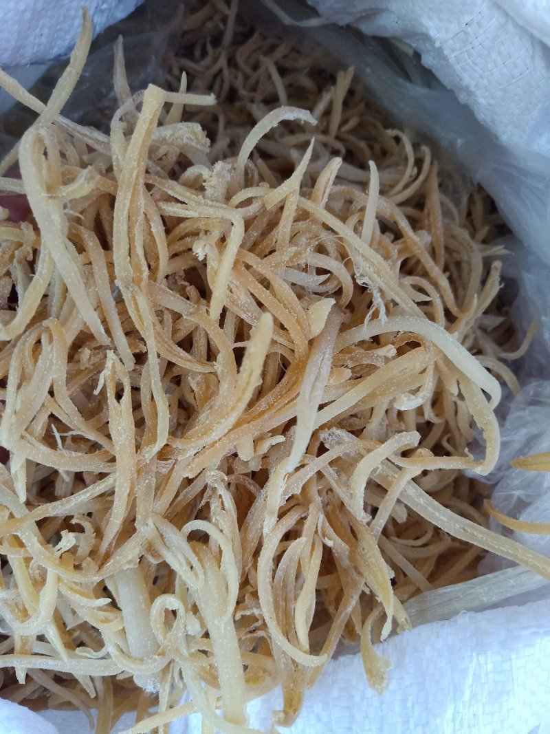 海蚌丝。象拔蚌丝，海笋贝干