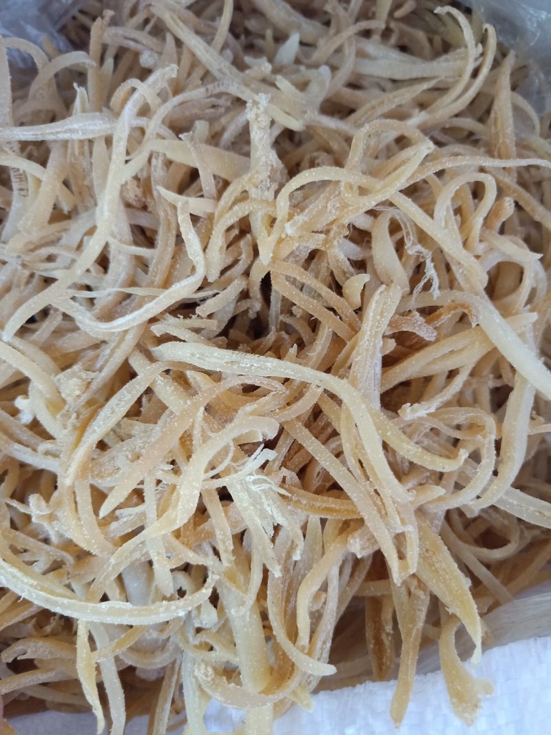 海蚌丝。象拔蚌丝，海笋贝干