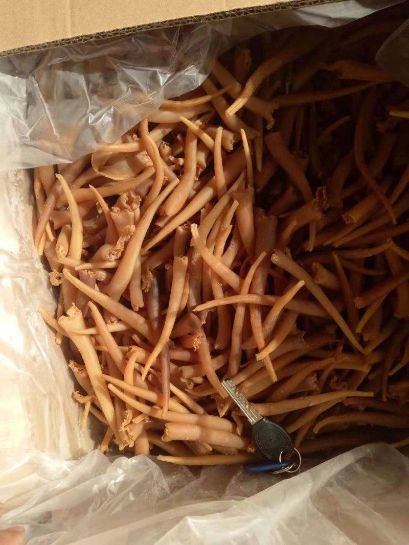 象拔蚌海蚌干象牙蚌干海笋贝干海竹