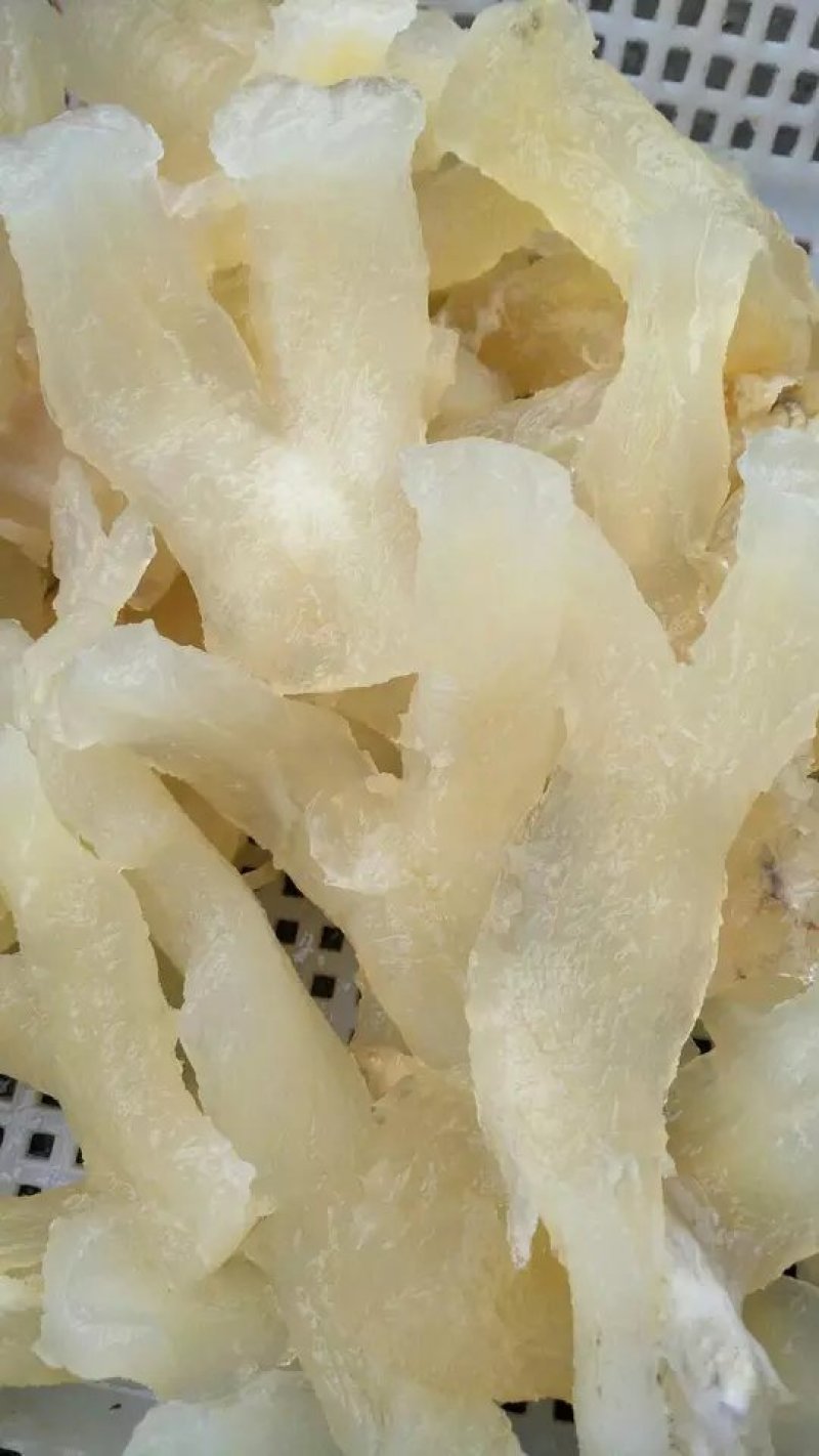 牛蹄筋，蹄筋