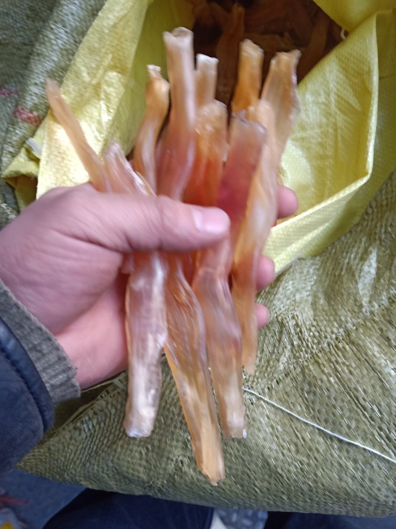 牛蹄筋，蹄筋