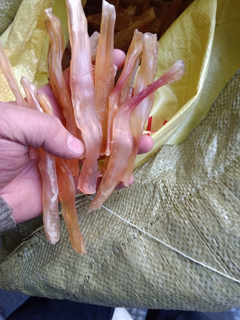 牛蹄筋，蹄筋