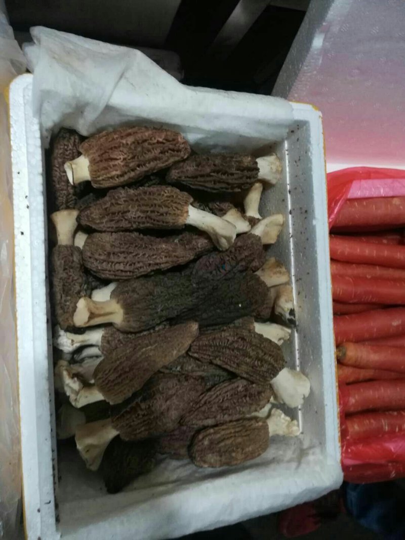 羊肚菌，包邮