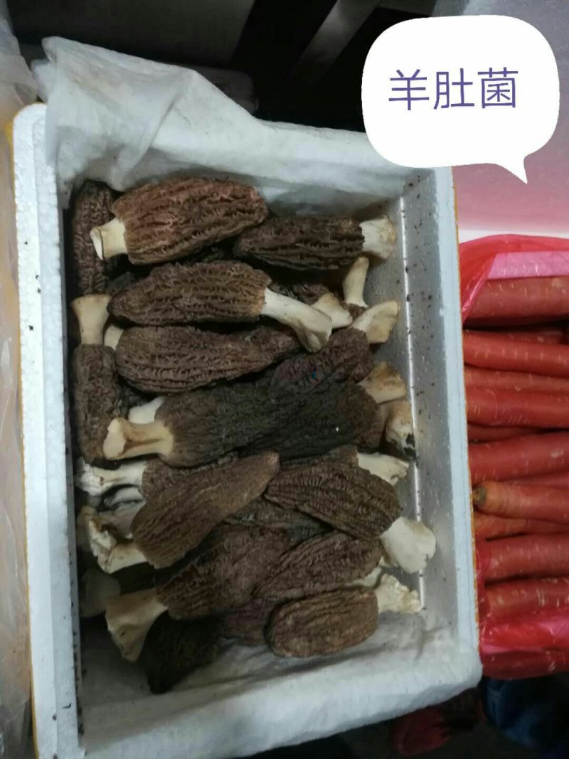 羊肚菌，包邮