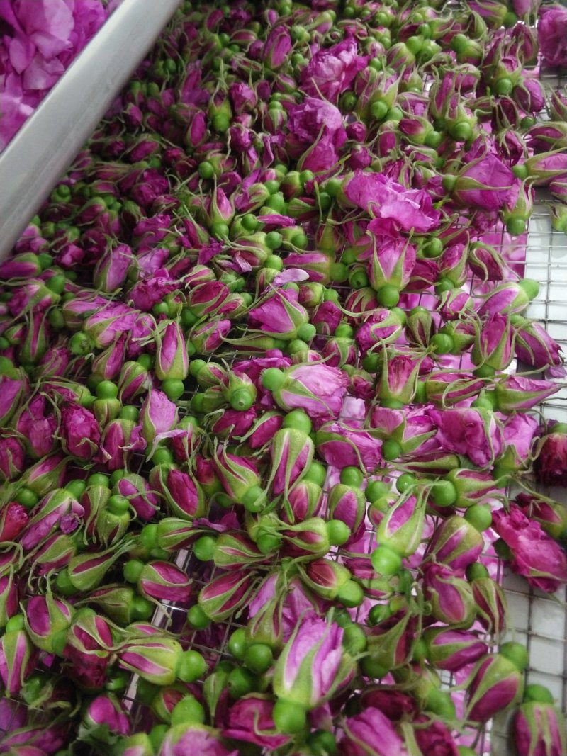 平阴玫瑰花茶干花蕾茶玫瑰花茶袋装250克花干花苞茶