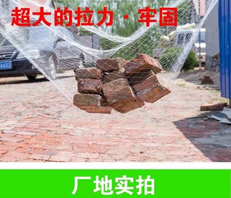 养殖泥鳅青蛙天网果园尼龙葡萄园樱桃园防鸟网鱼塘养殖防鸟网