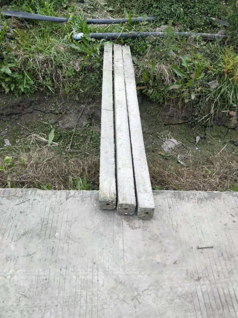 猕猴桃水泥柱