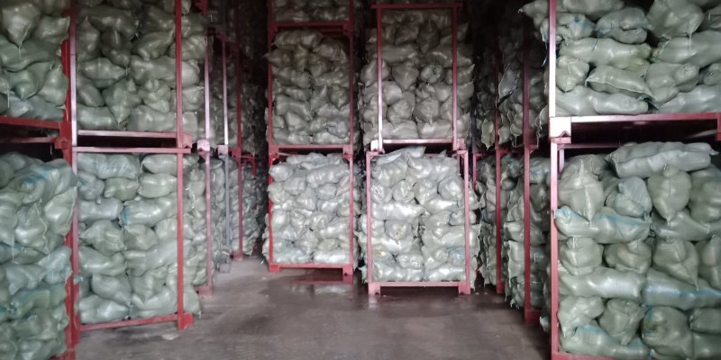 精品791青萝卜1~2斤大量现货-
