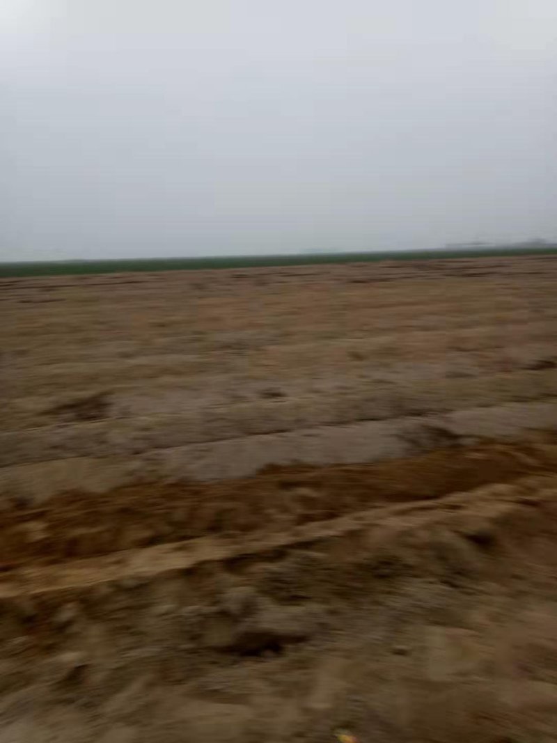 柳州市海吉星农贸市场