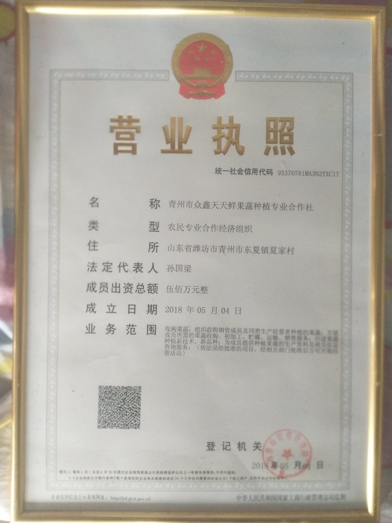 【诚信企业】圆椒红方太空椒圆椒众鑫天天鲜果蔬欢迎您！