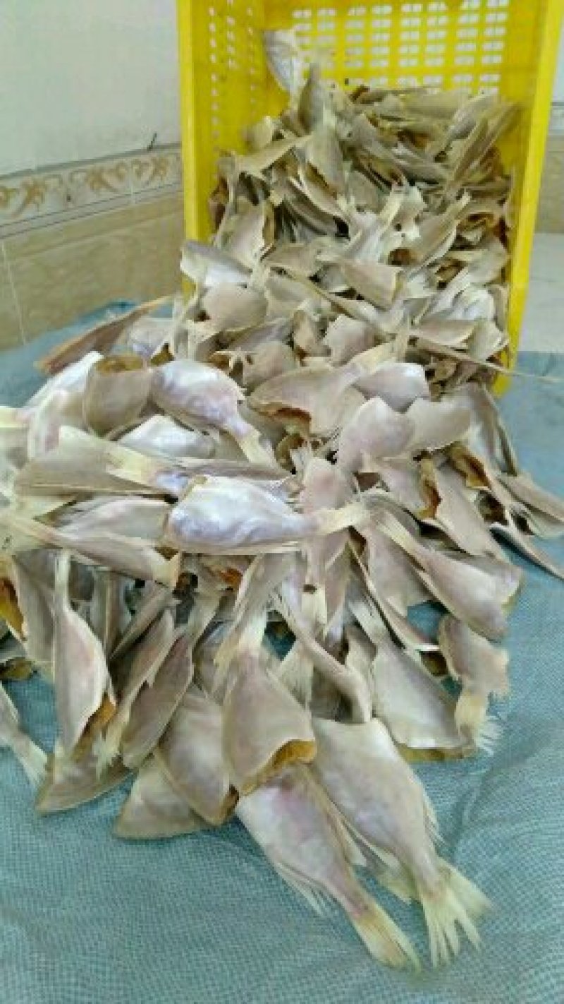 自制淡晒大眼鱼干