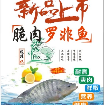 脆肉罗非鱼
