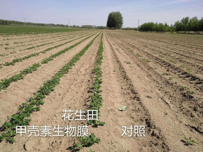 液体可降解地膜，60天降解，90天全部降解。