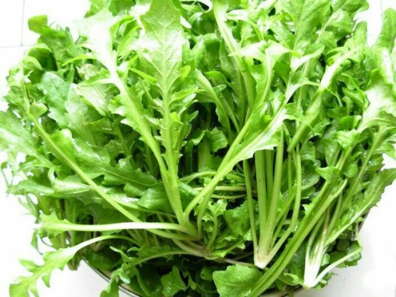 野生荠菜，纯天然，无公害。