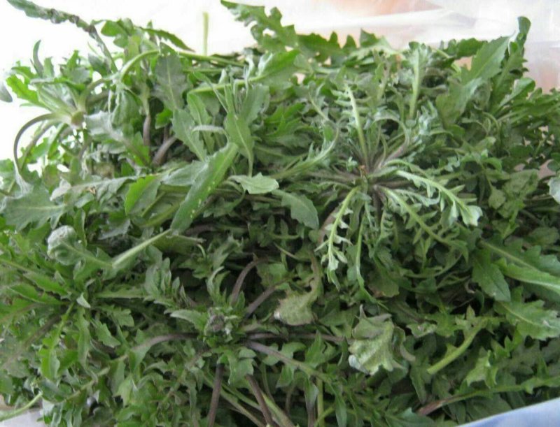 野生荠菜，纯天然，无公害。