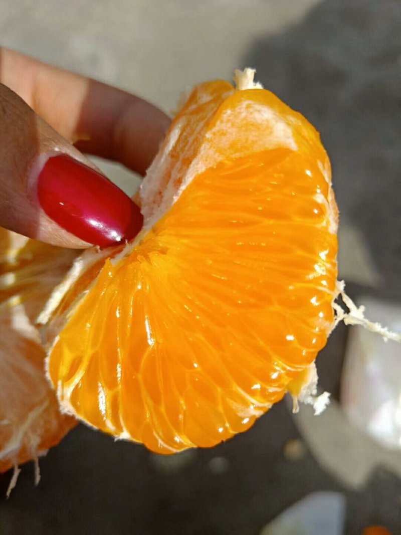 黄果柑