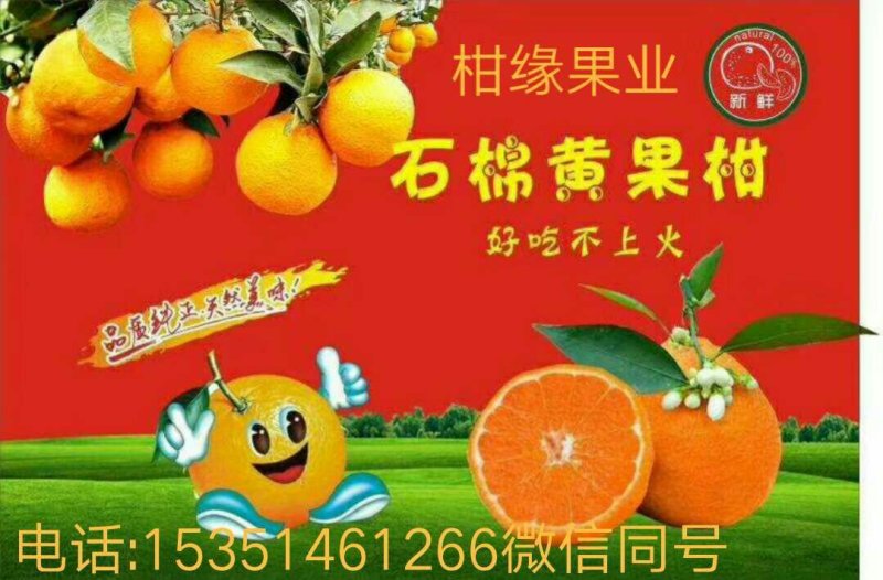 黄果柑