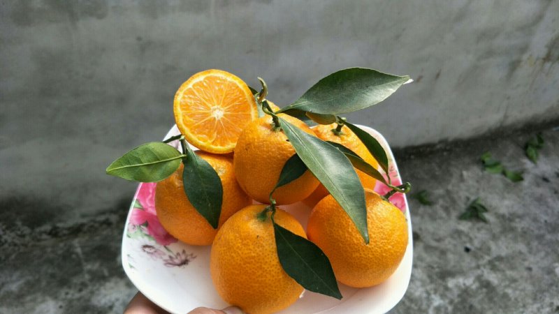 黄果柑
